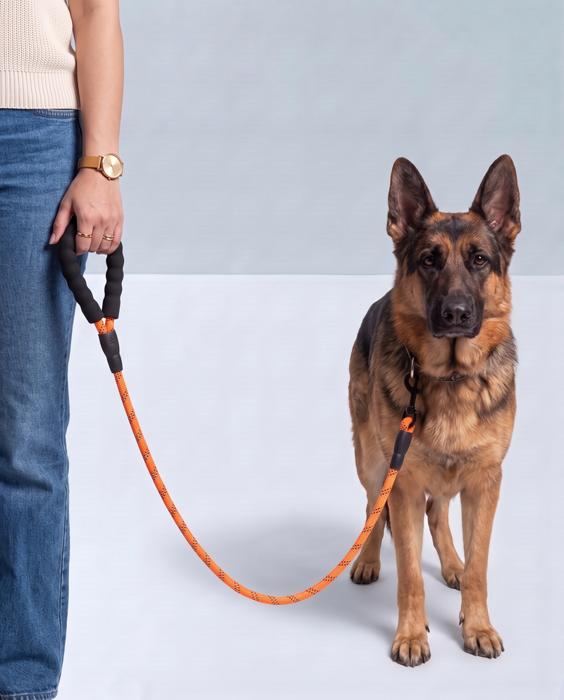 The length most walks actually want